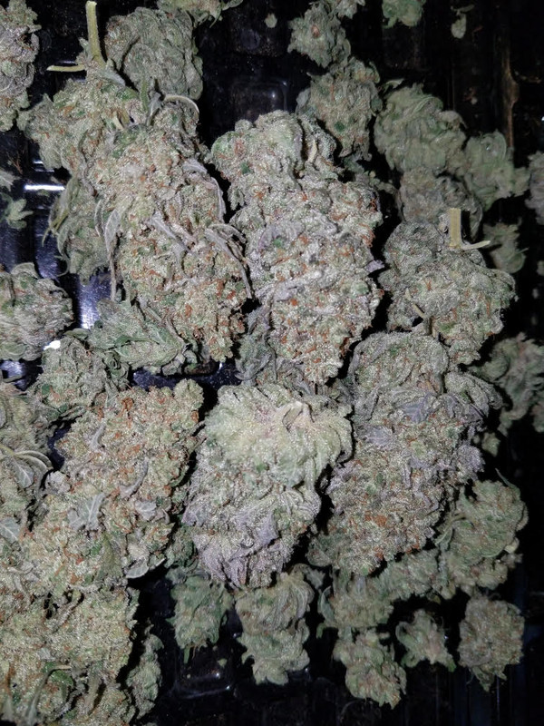 thaiwaiiansmoke.jpg