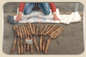 dagga12.jpg