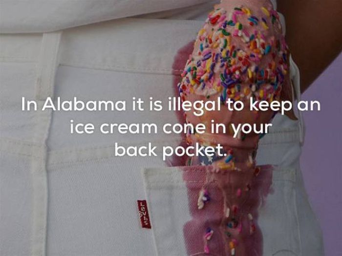 hilarious_laws_07.jpg