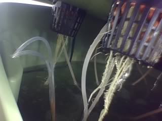 01-27-08_1837.jpg
