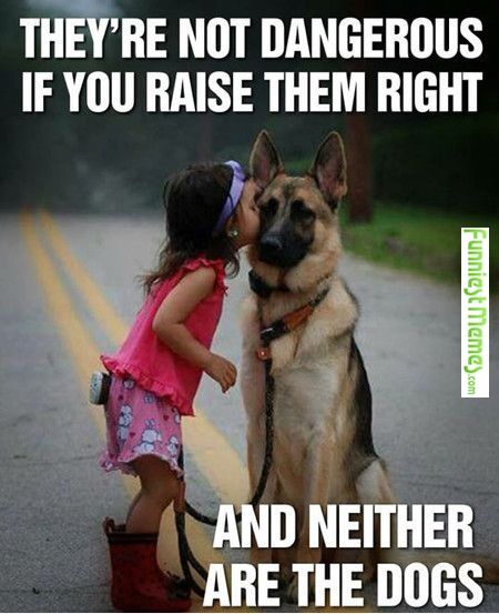 397eb66a59a68a2c3171e8f1df303684.jpg
