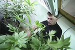 medical-marijuana-has-become-a-growth-industry-in-colorado.2993718.51.jpg