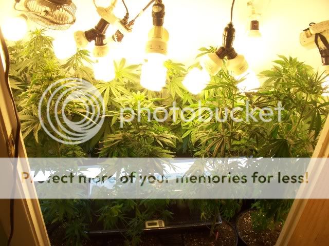 100_1370.jpg