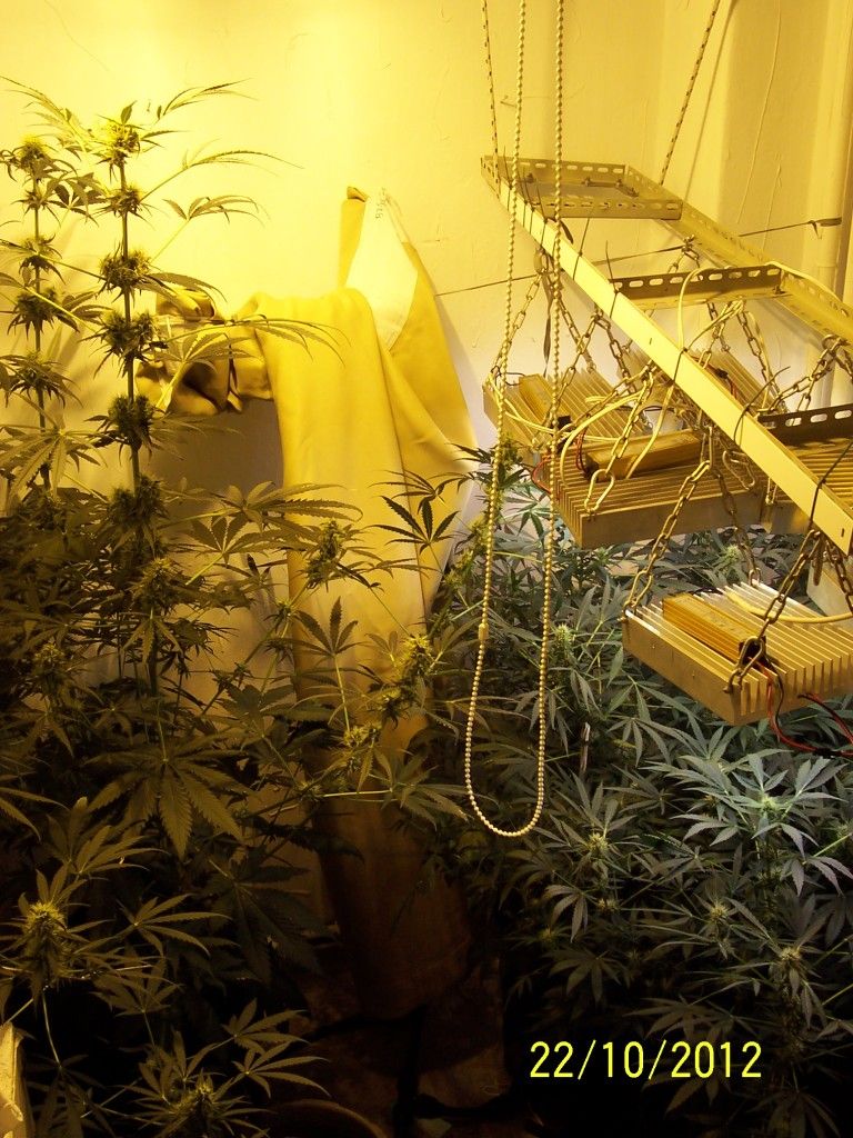 100_2801.jpg