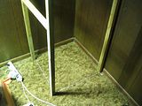th_IMG_0380.jpg