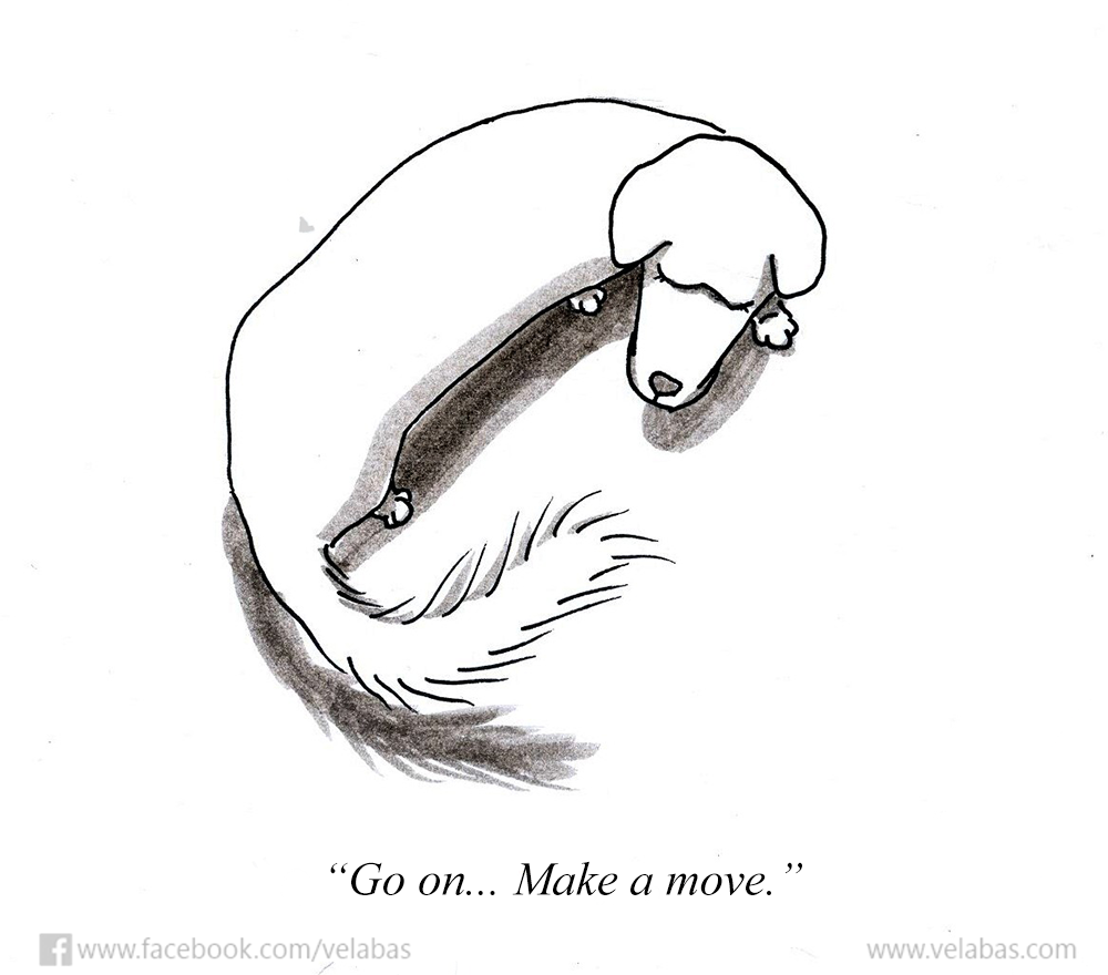 dog-tail-cartoon.png