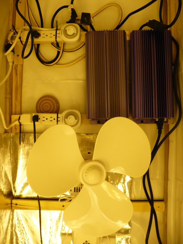 P1010631.jpg