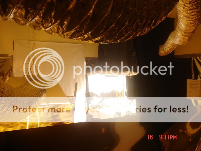 Picture039-6.jpg