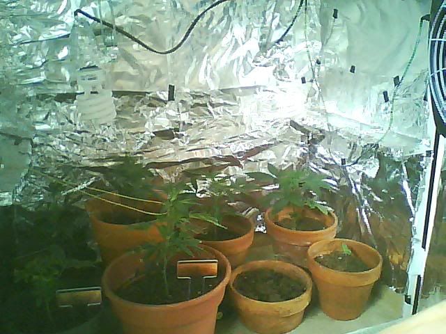 Picture0388.jpg