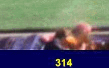 314-315.gif