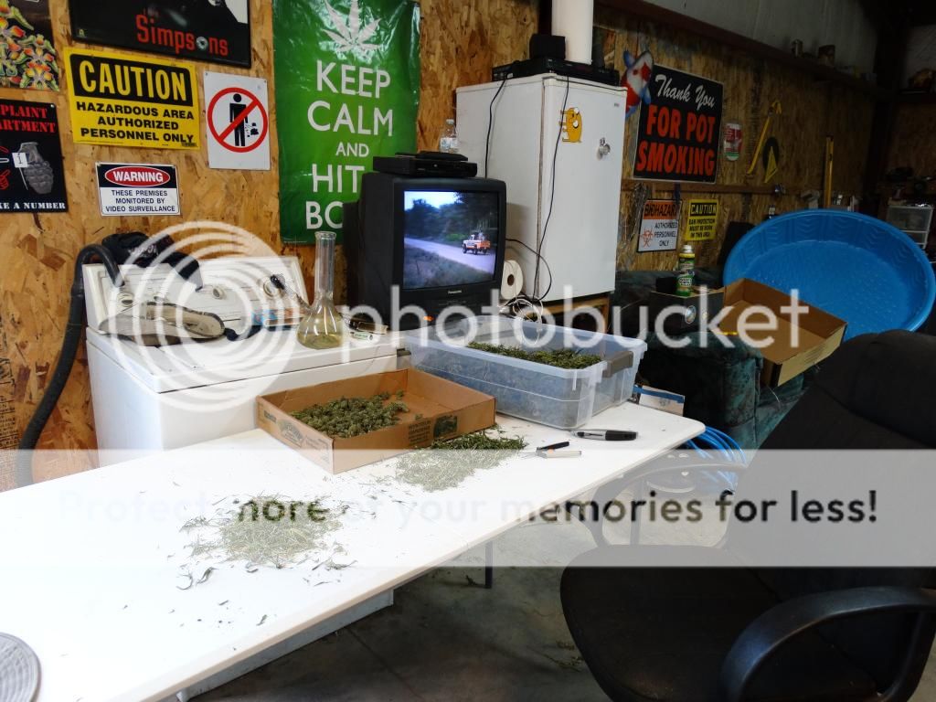 DSC08966_zps0c1acd28.jpg