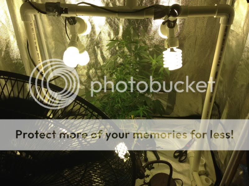 photoasdk4_zps7553ca5b.jpg