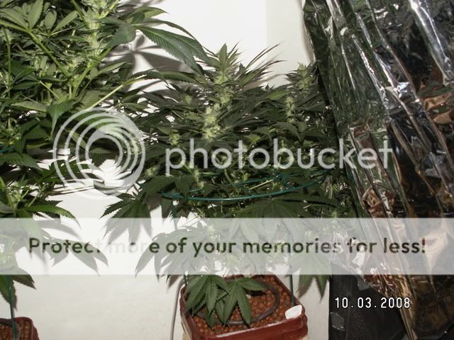 F-PICT0010.jpg