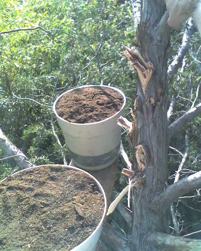 05-11-08_1705.jpg