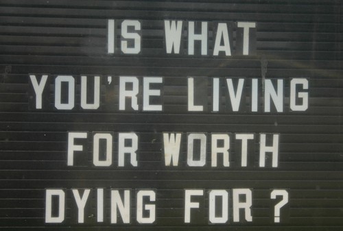 tumblr_lw9gqcKvXv1r4wsi8o1_500.jpg