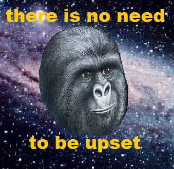 tumblr_inline_mk8t67T3z91r4jjpw.png