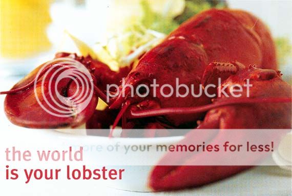lobster.jpg