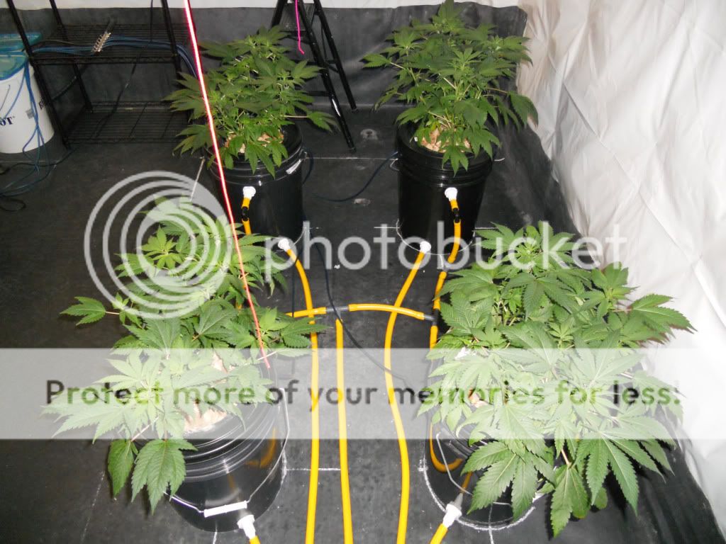 G13_Day02f.jpg