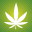 101growlights.com