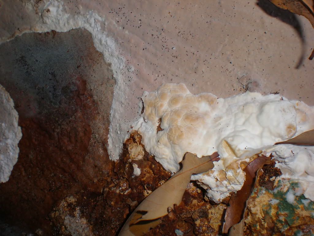PC210021.jpg