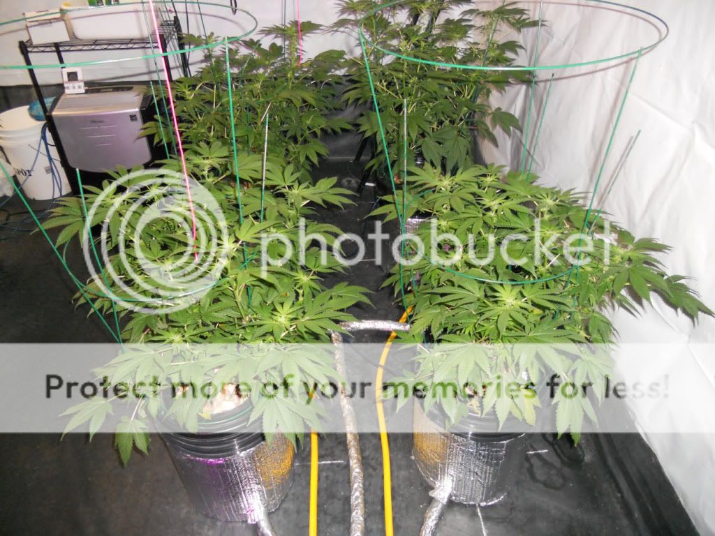 G13_Day24f.jpg