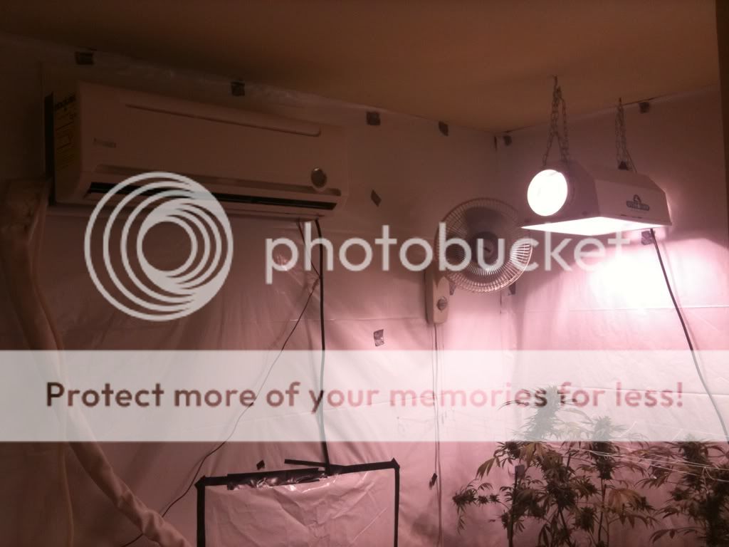 image-4.jpg