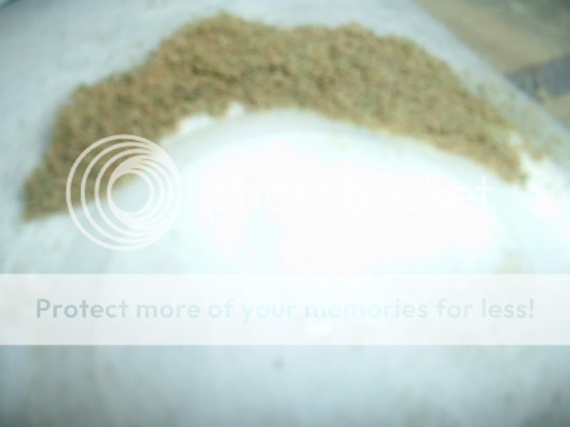 Kief2002.jpg