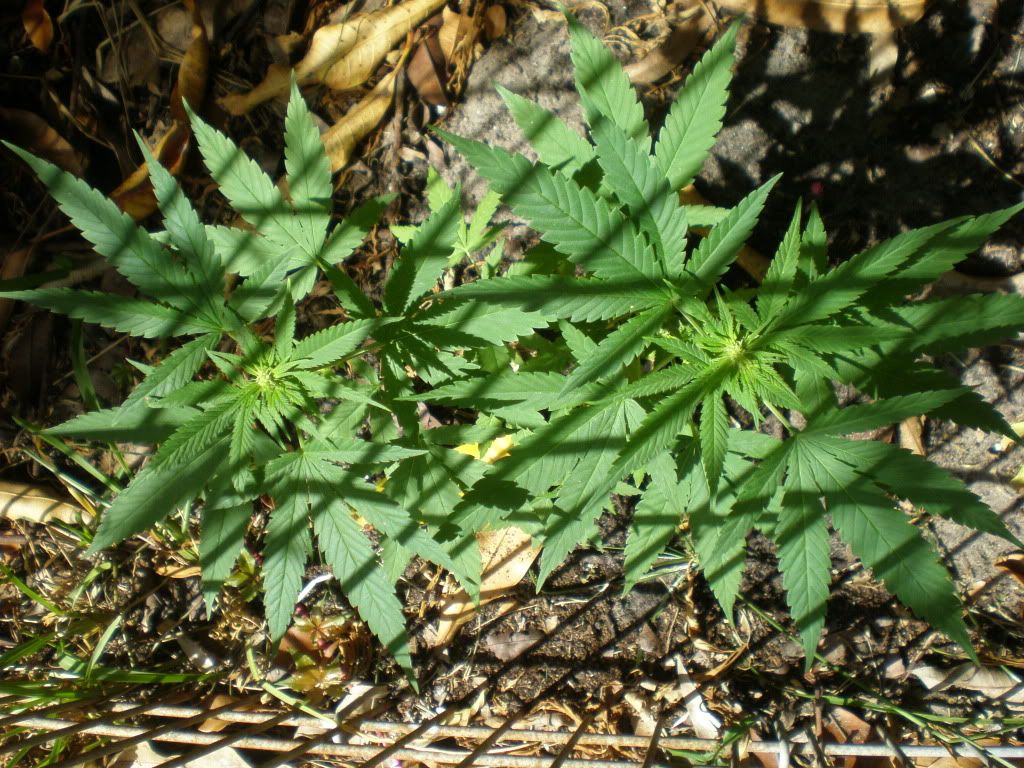 PA150039.jpg