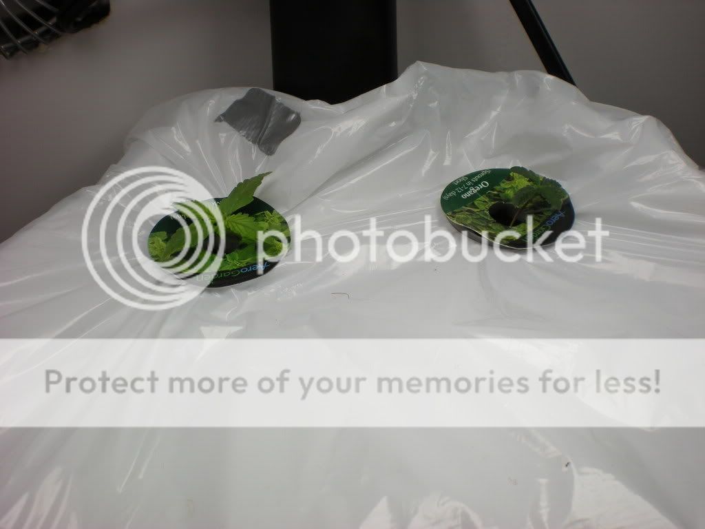 DSCN0203.jpg