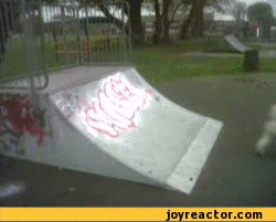 woman-dog-fail-slide-452664.gif