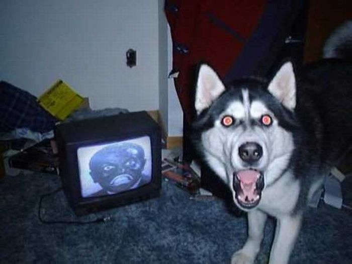acid_picdump_43.jpg