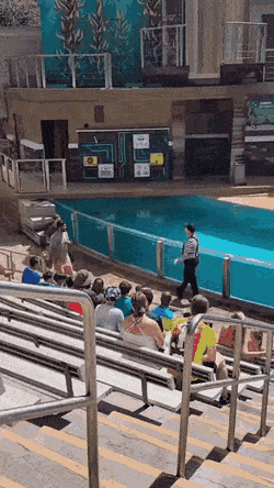 1663250380_20.gif