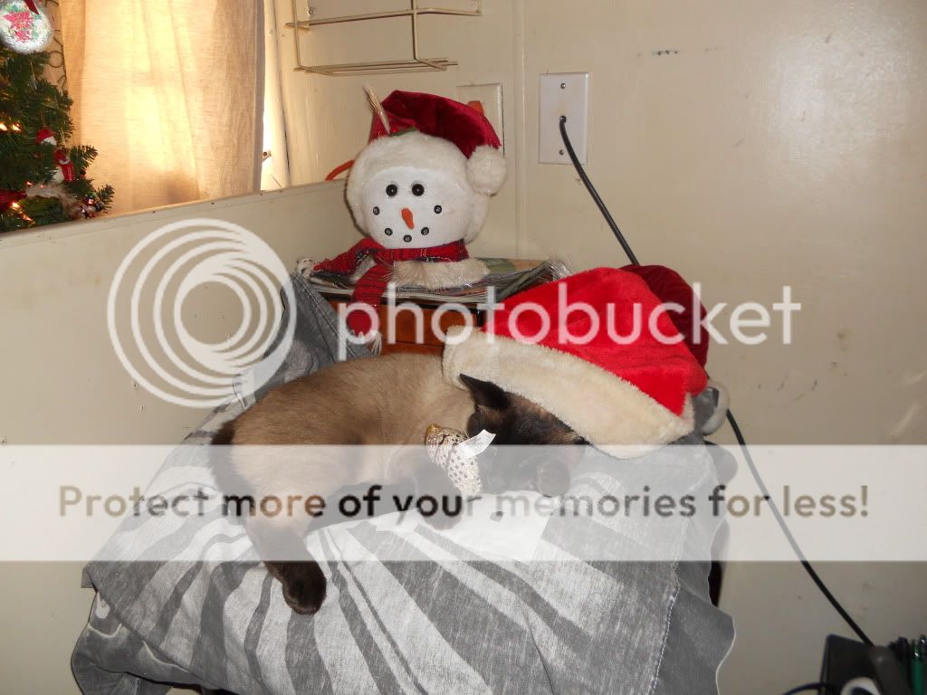 DSCN6050.jpg