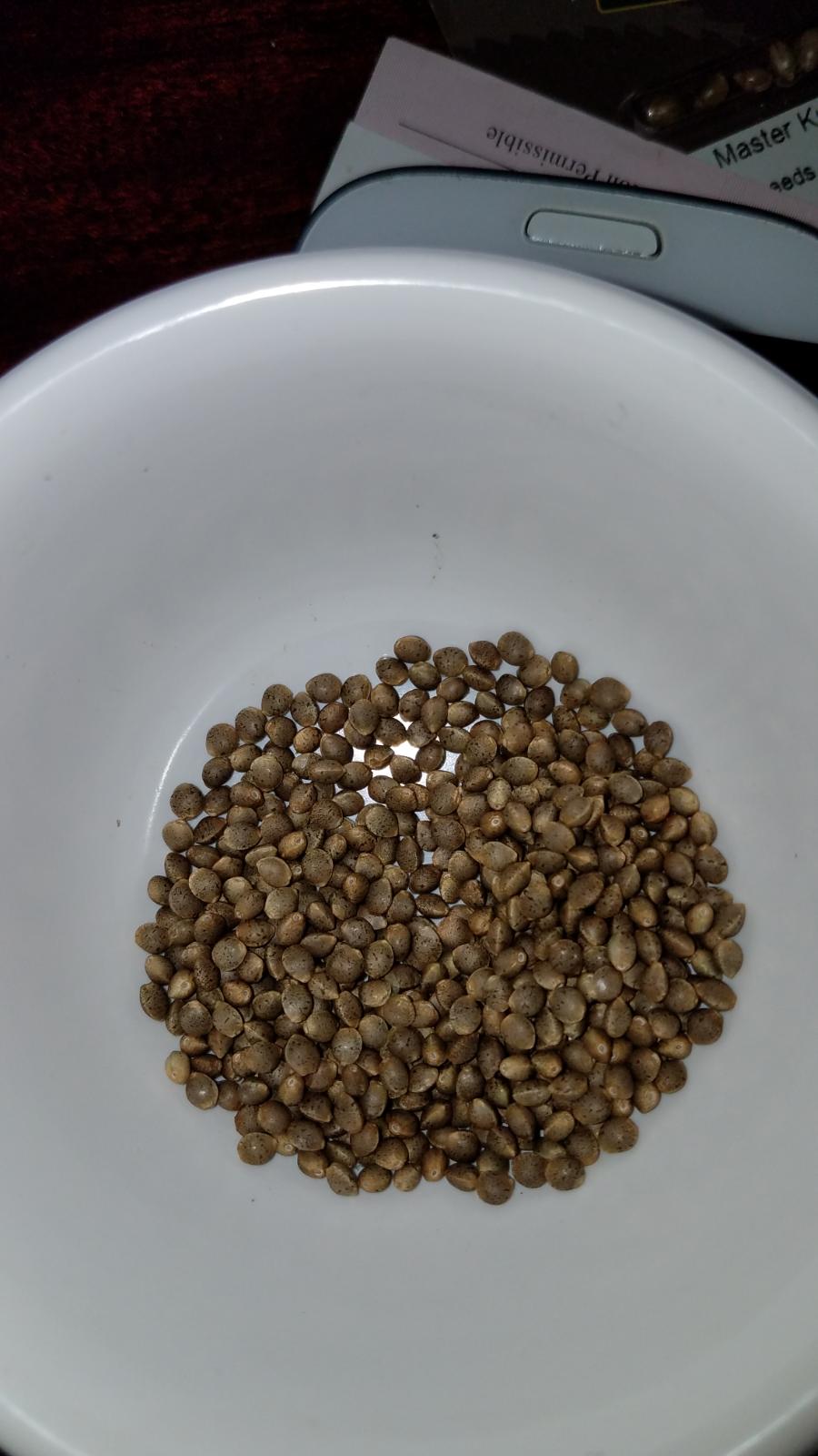 othseeds.jpg