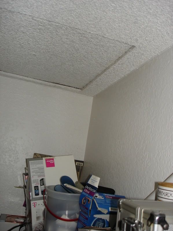 DSC00063.jpg