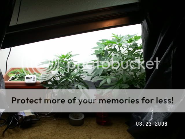 PICT0067.jpg