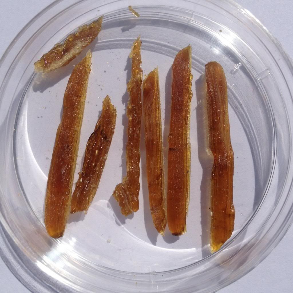 Hash_zpsd77fef91.jpg