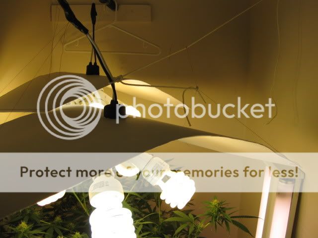 20090222_7.jpg