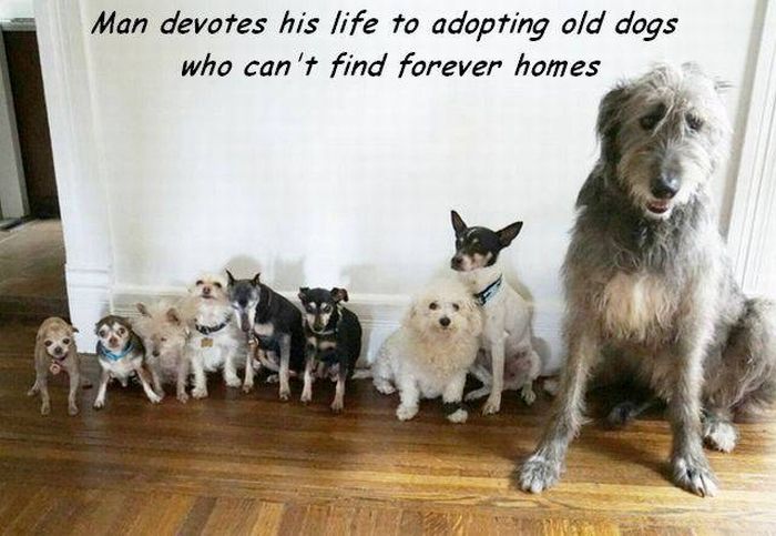 acid_picdump_48.jpg