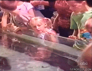 gifs_03.gif