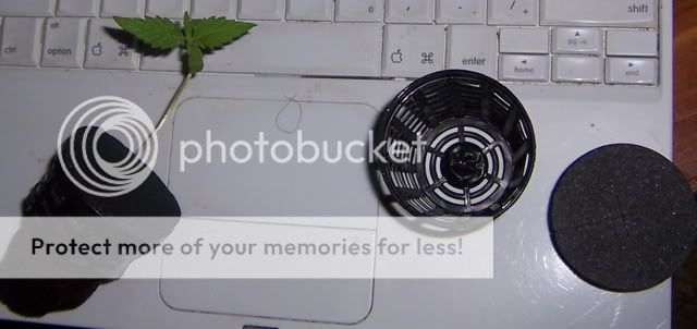 100_0181.jpg