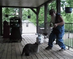 4dOxLIE.gif