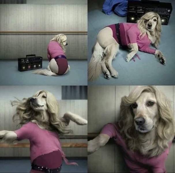 acid_picdump_84.jpg