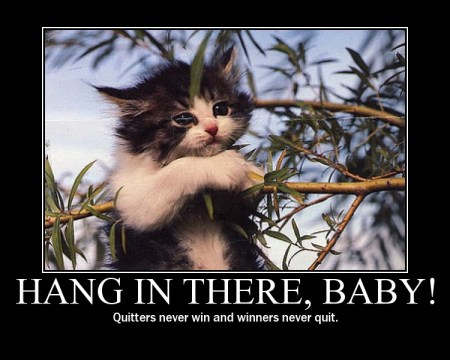 hang_in_there.jpg