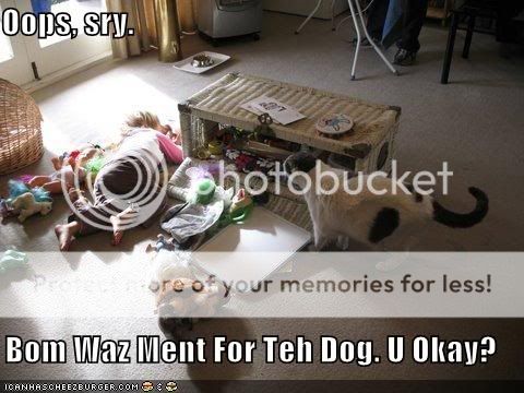 dog_bomb.jpg