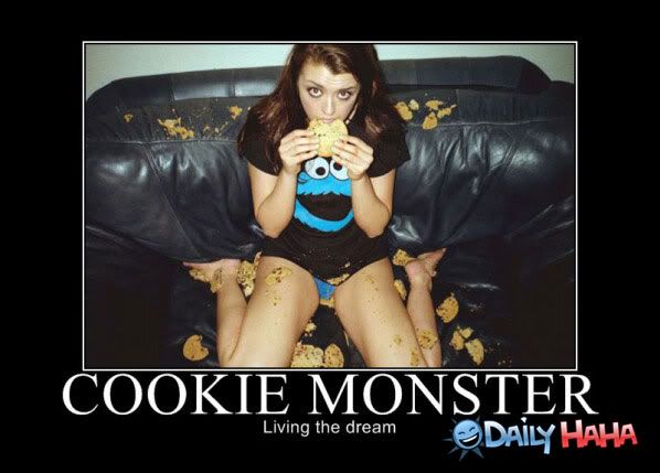 the-cookie-monster.jpg
