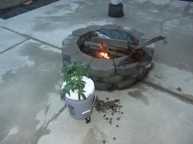 27706e91.jpg