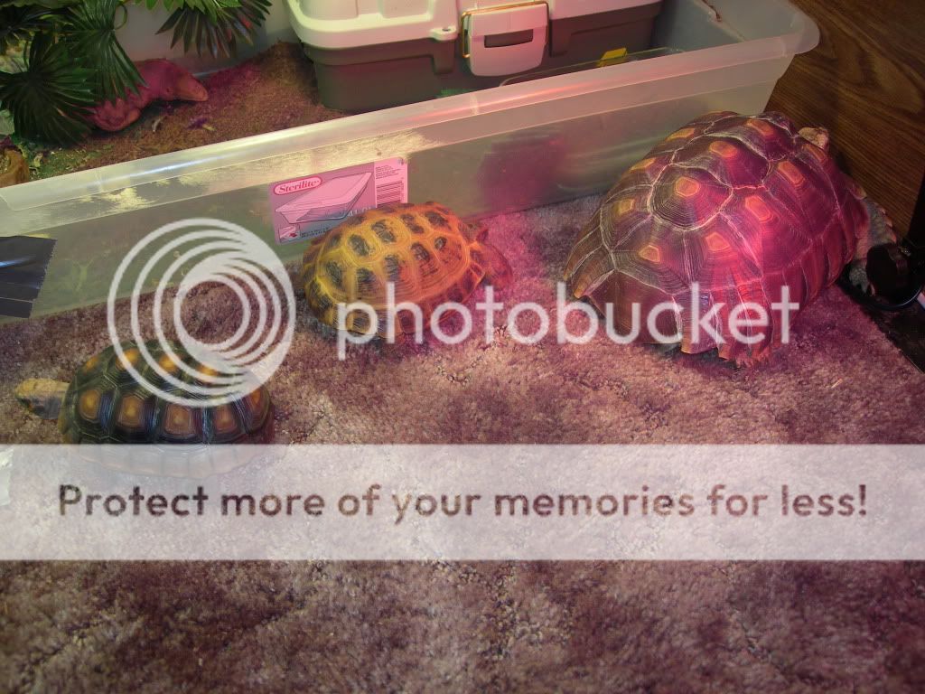 DSCN9213.jpg