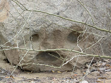 apophenia012.jpg