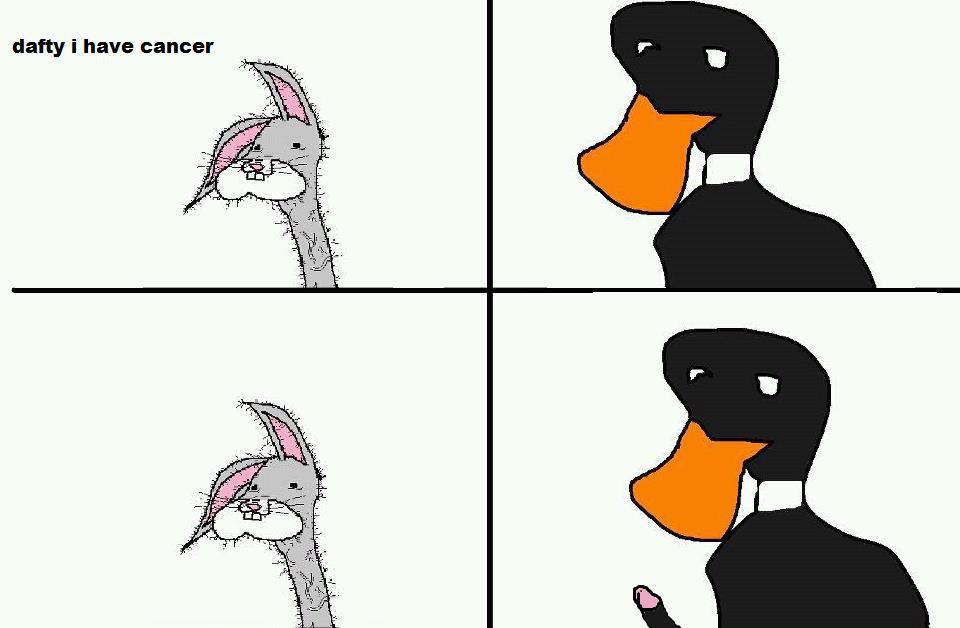 0c8.jpg
